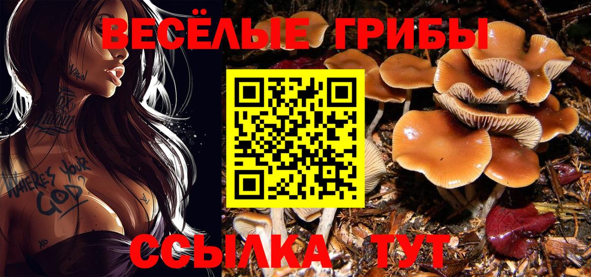 КОКАИН  ГАШИШ  А ПВП СОЛЬ кристаллы  Вход с VPN  Codein  Бошки Шишки  Ростов Великий  MDMA  МЕФ кристаллы 